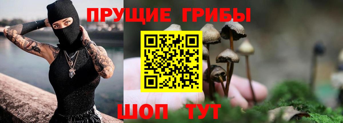 Чита  где купить наркотик  Вход с VPN  Псилоцибиновые грибы Psilocybe 